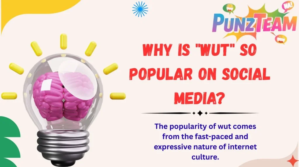 Why Is "Wut" So Popular on Social Media?
