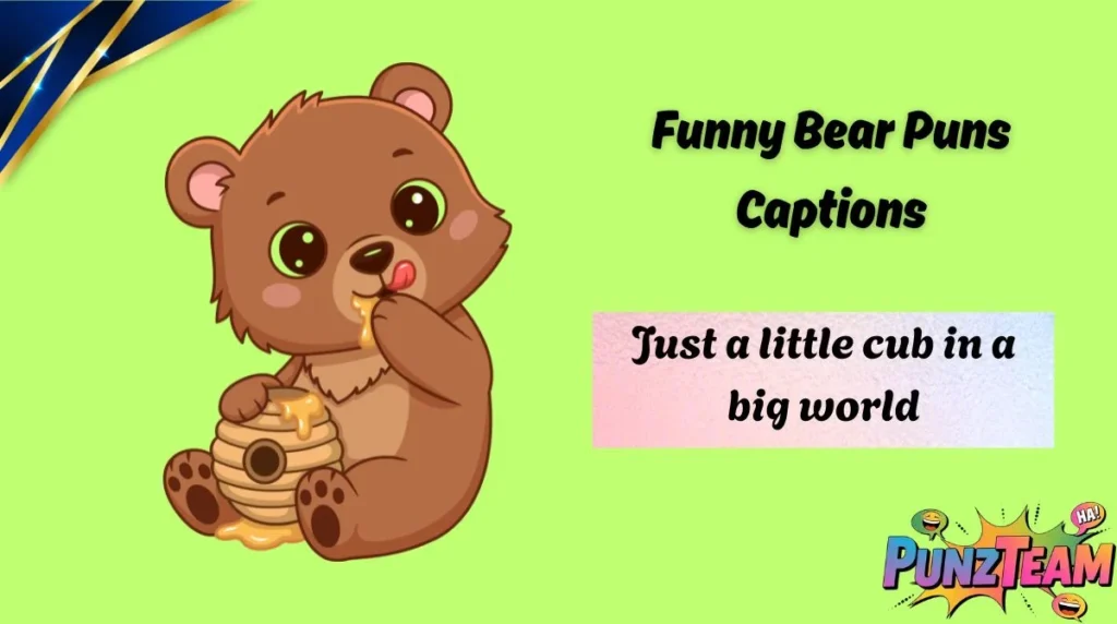 Funny Bear Puns Captions