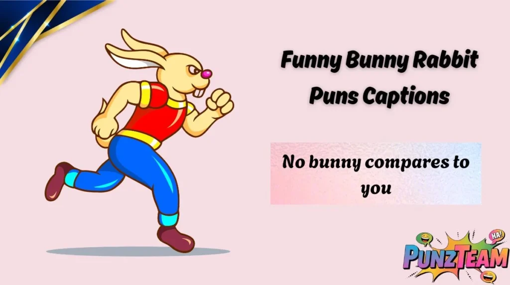 Funny Bunny Rabbit Puns Captions