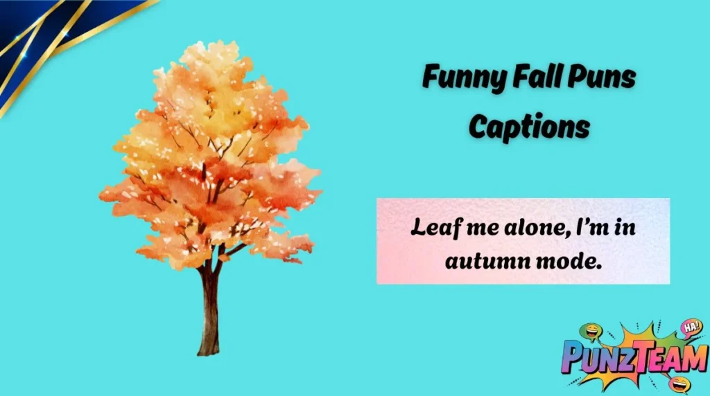 Funny Fall Puns Captions