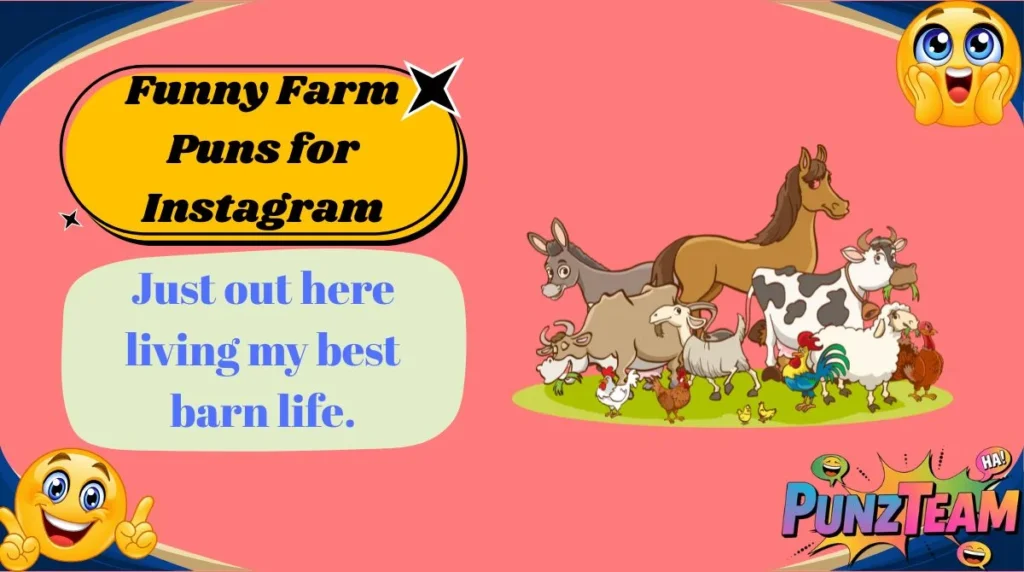 Funny Farm Puns for Instagram