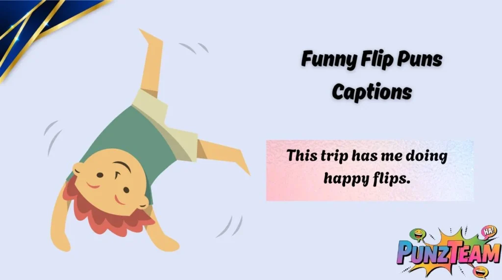 Funny Flip Puns Captions