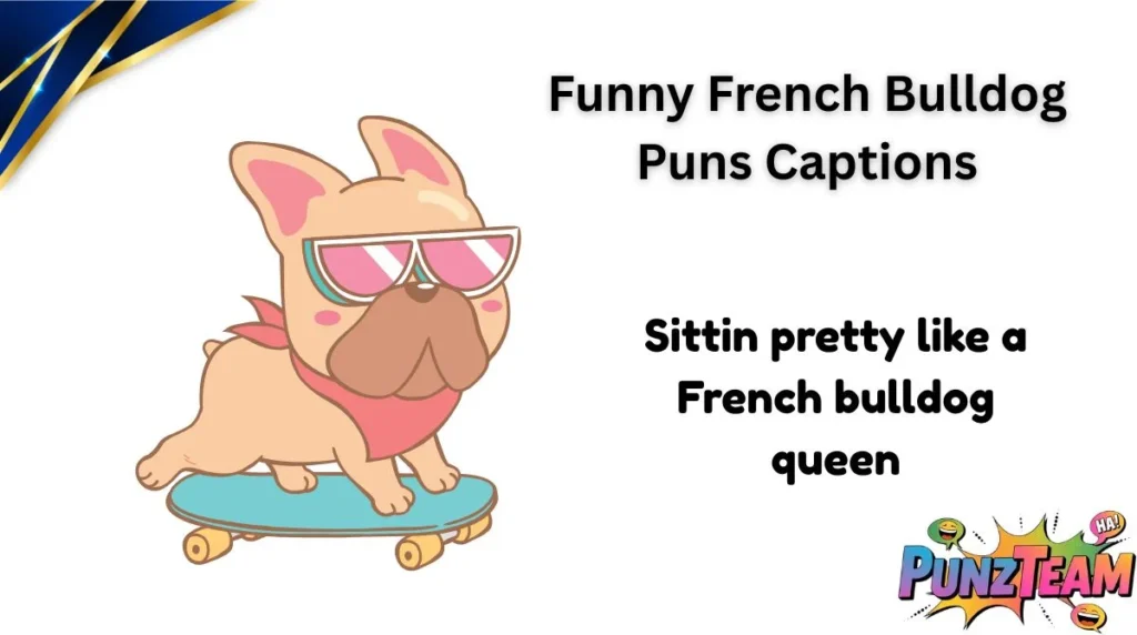 Funny French Bulldog Puns Captions
