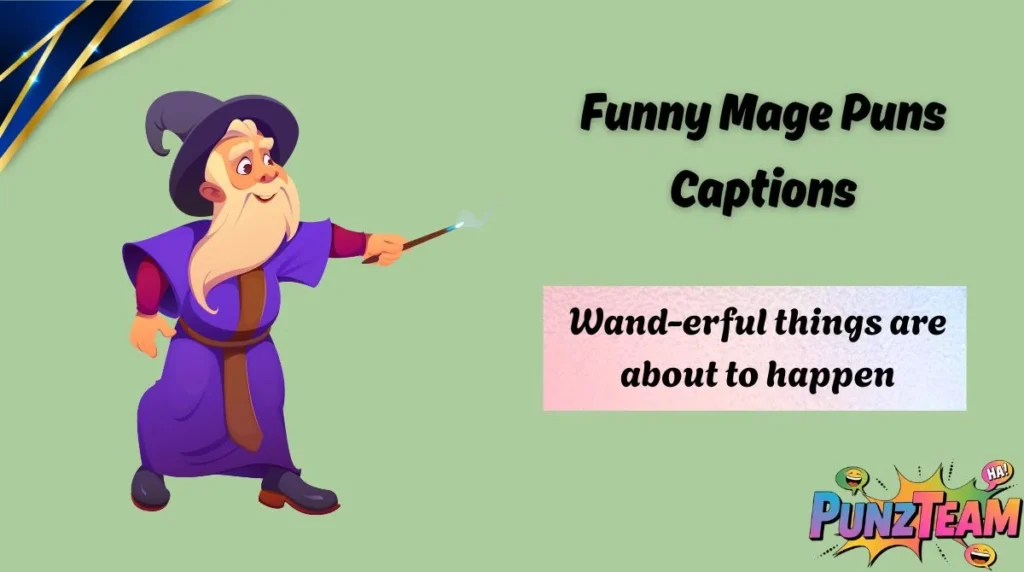 Funny Mage Puns Captions