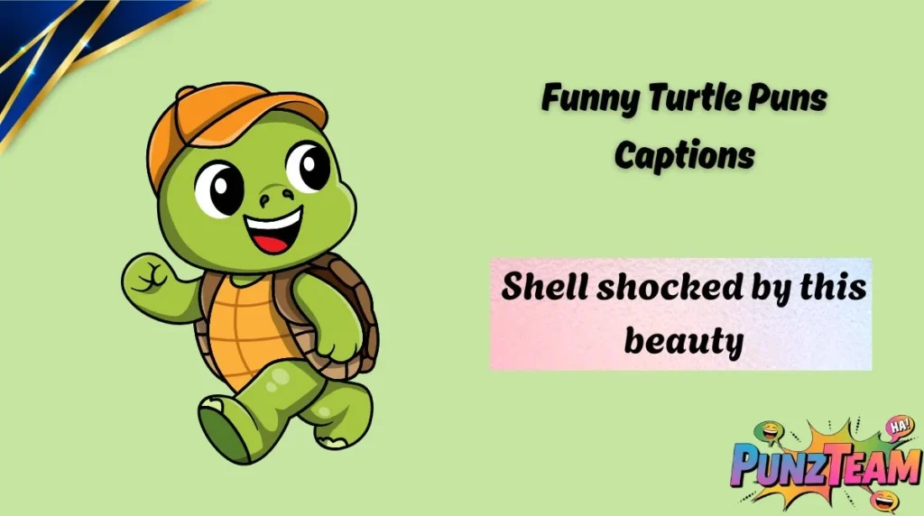 Funny Turtle Puns Captions