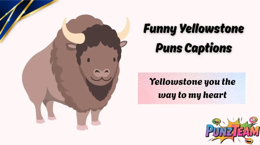 Funny Yellowstone Puns Captions