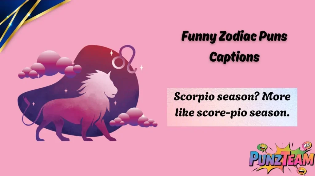 Funny Zodiac Puns Captions