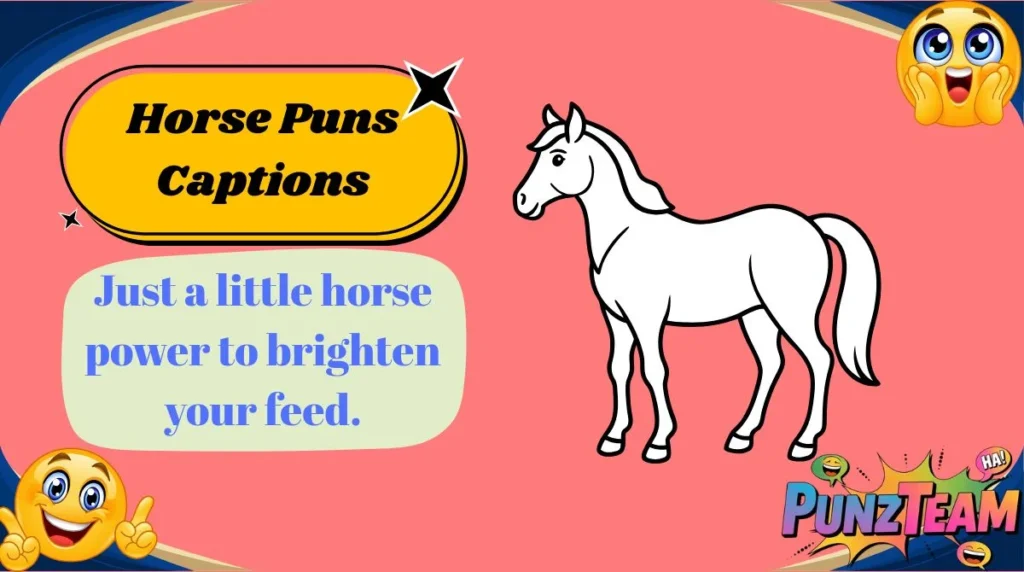 Horse Puns Captions