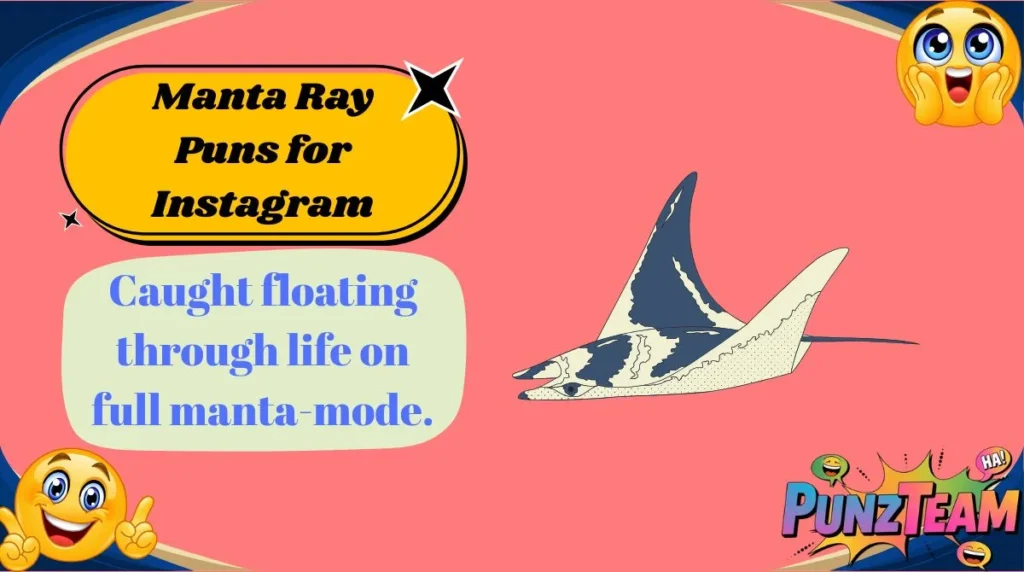 Manta Ray Puns for Instagram
