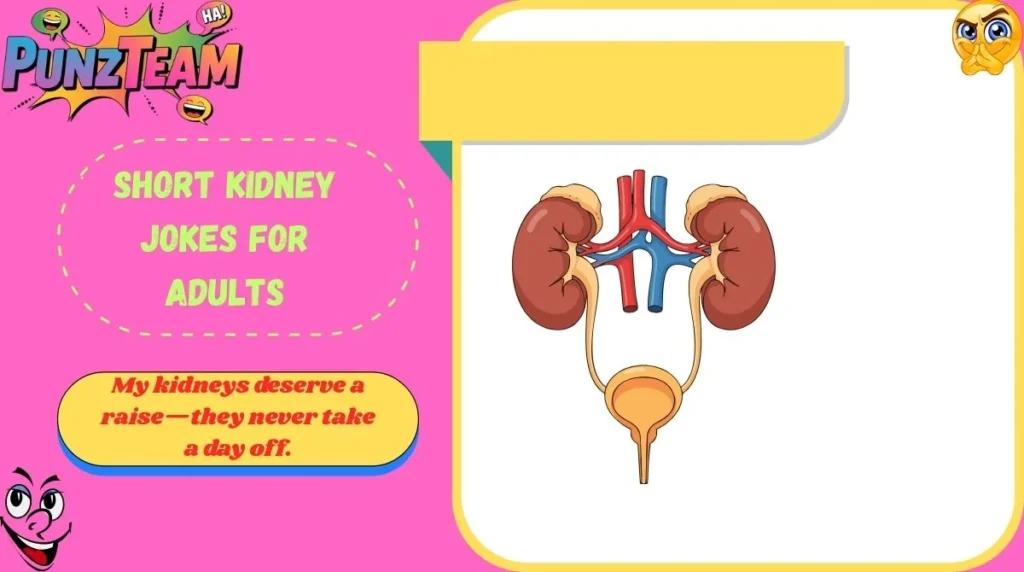Short Kidney Jokes for Adults