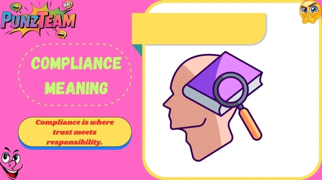 Compliance Meaning