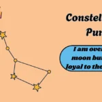 Constellation Puns