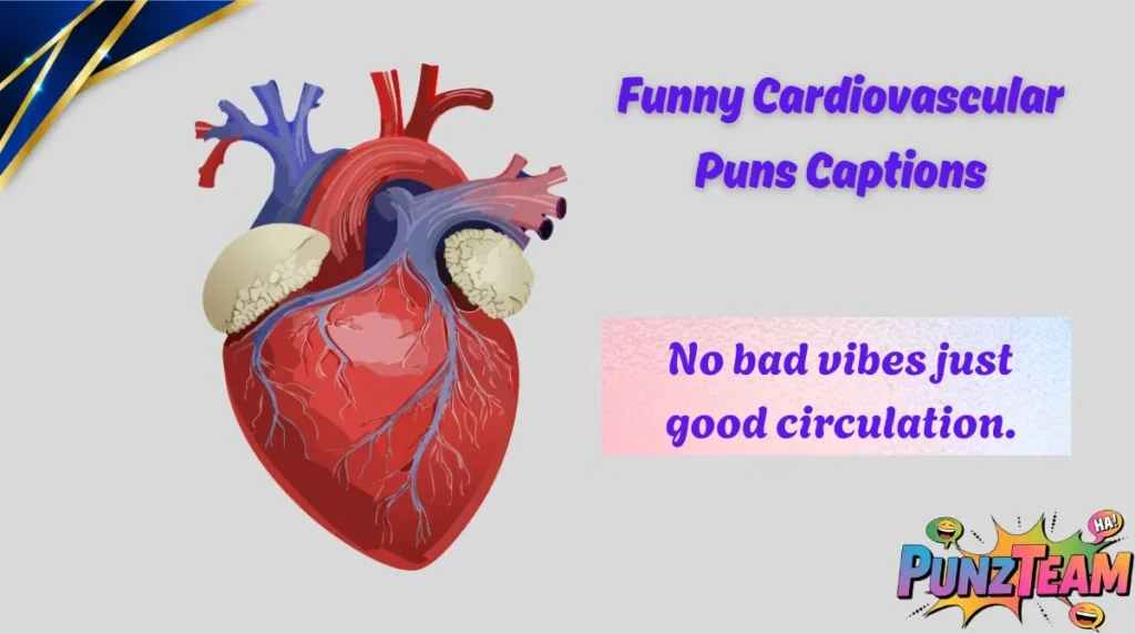 Funny Cardiovascular Puns Captions