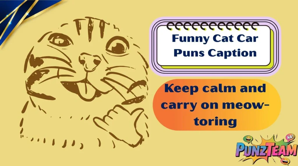 Funny Cat Car Puns Caption