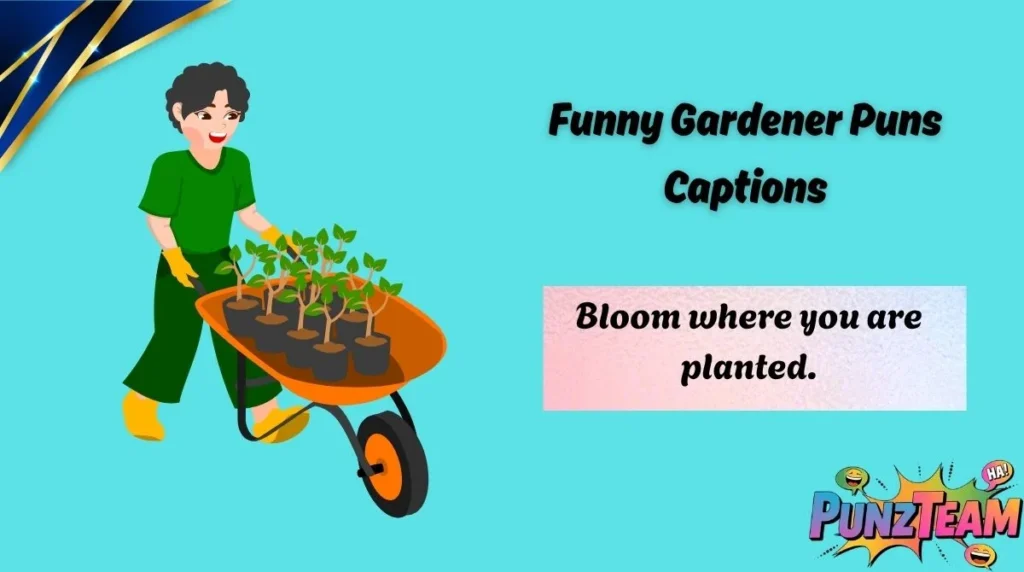 Funny Gardener Puns Captions