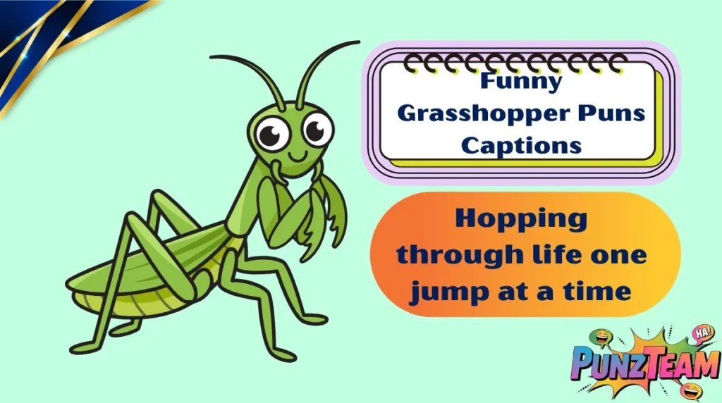 Funny Grasshopper Puns Captions