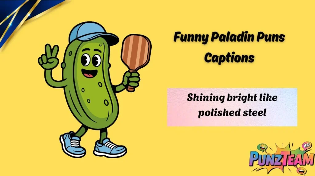 Funny Paladin Puns Captions