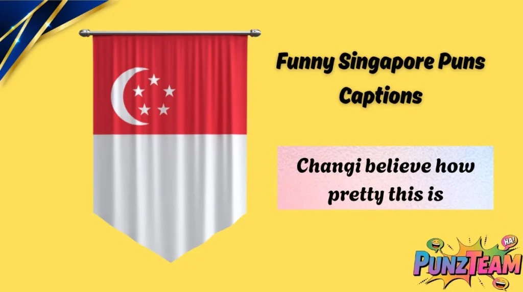 Funny Singapore Puns Captions