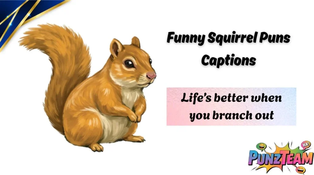 Funny Squirrel Puns Captions