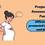 Pregnancy Announcement Puns