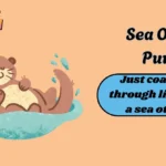 Sea Otter Puns