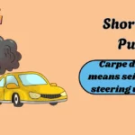 Short Car Puns