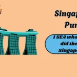 Singapore Puns