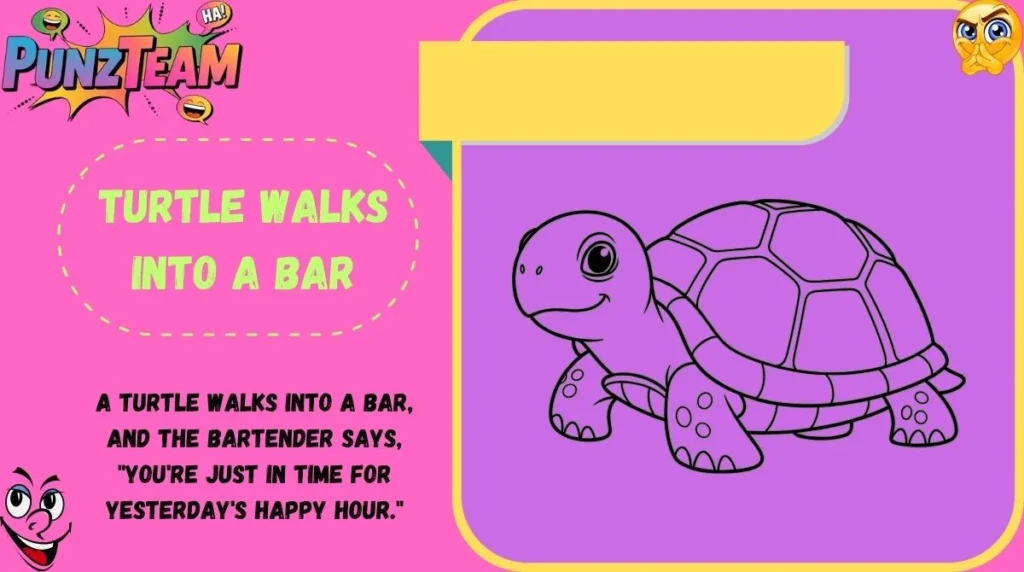 Turtle Walks Into a Bar