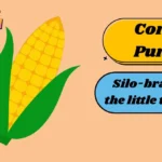 Corn Puns