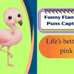 Funny Flamingo Puns Captions