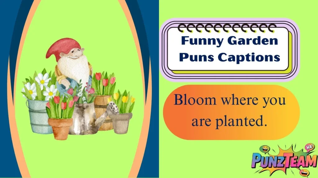 Funny Garden Puns Captions