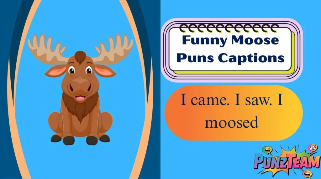 Funny Moose Puns Captions