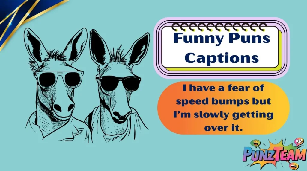 Funny Puns Captions