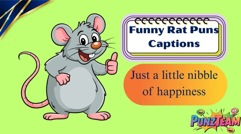 Funny Rat Puns Captions