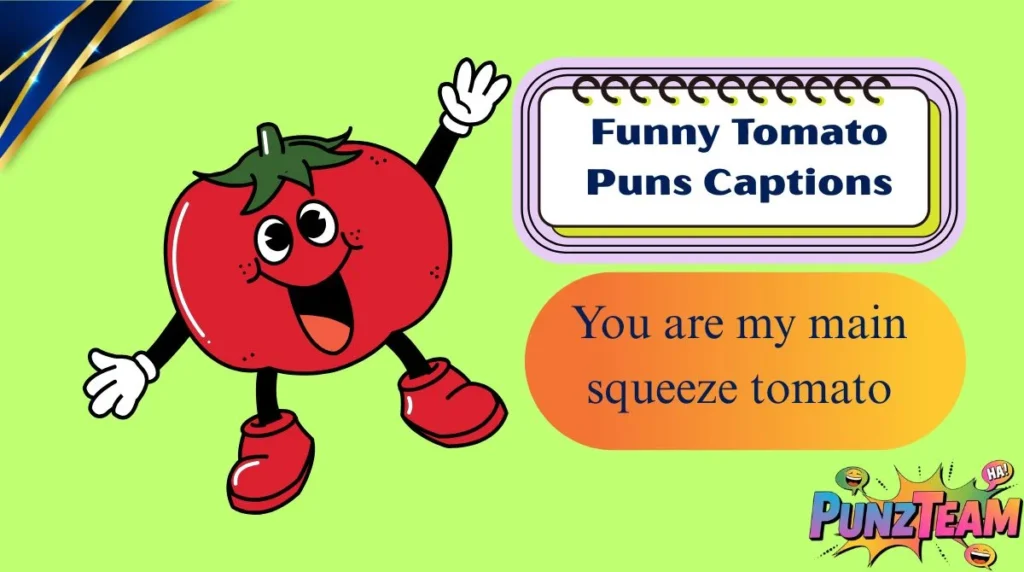 Funny Tomato Puns Captions