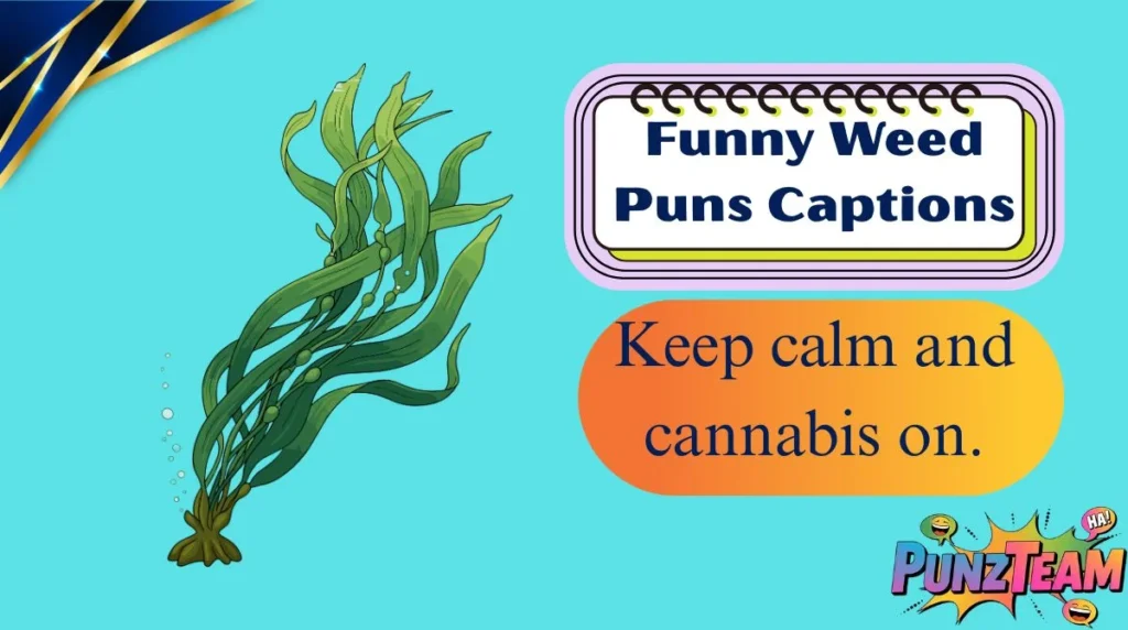 Funny Weed Puns Captions