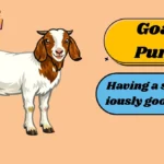 Goat Puns
