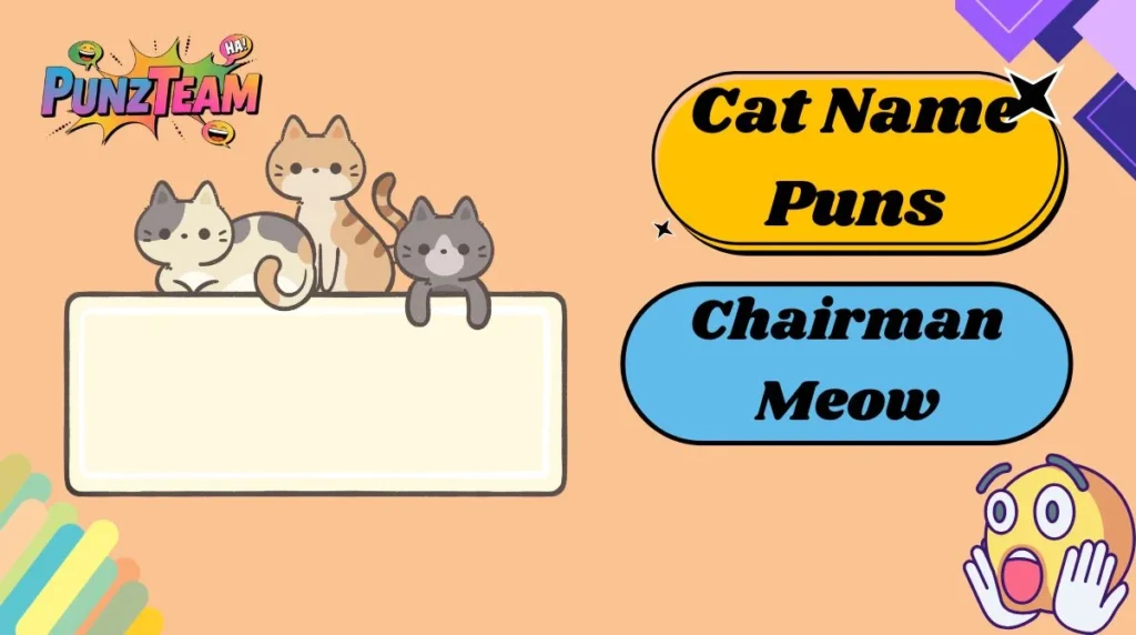 Cat Name Puns