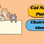 Cat Name Puns