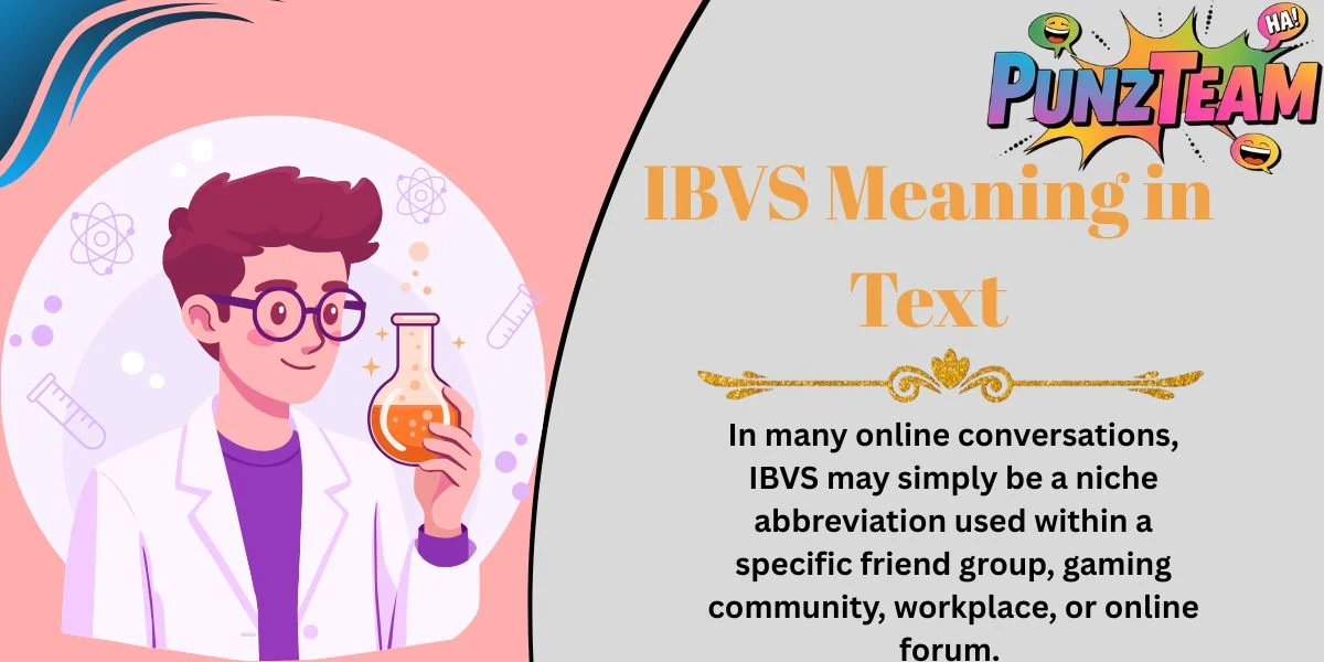 IBVS Meaning in Text