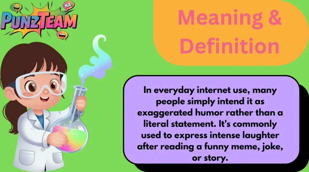 Meaning & Definition