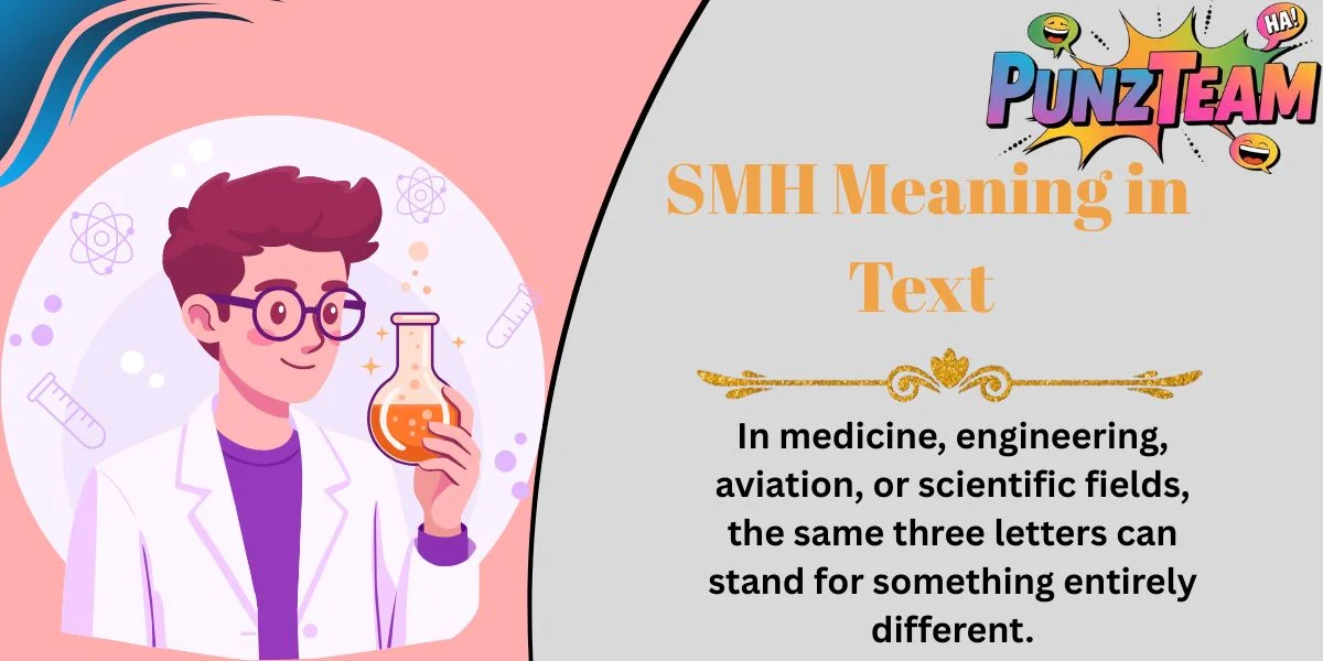 SMH Meaning in Text