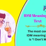 IDM Meaning in Text