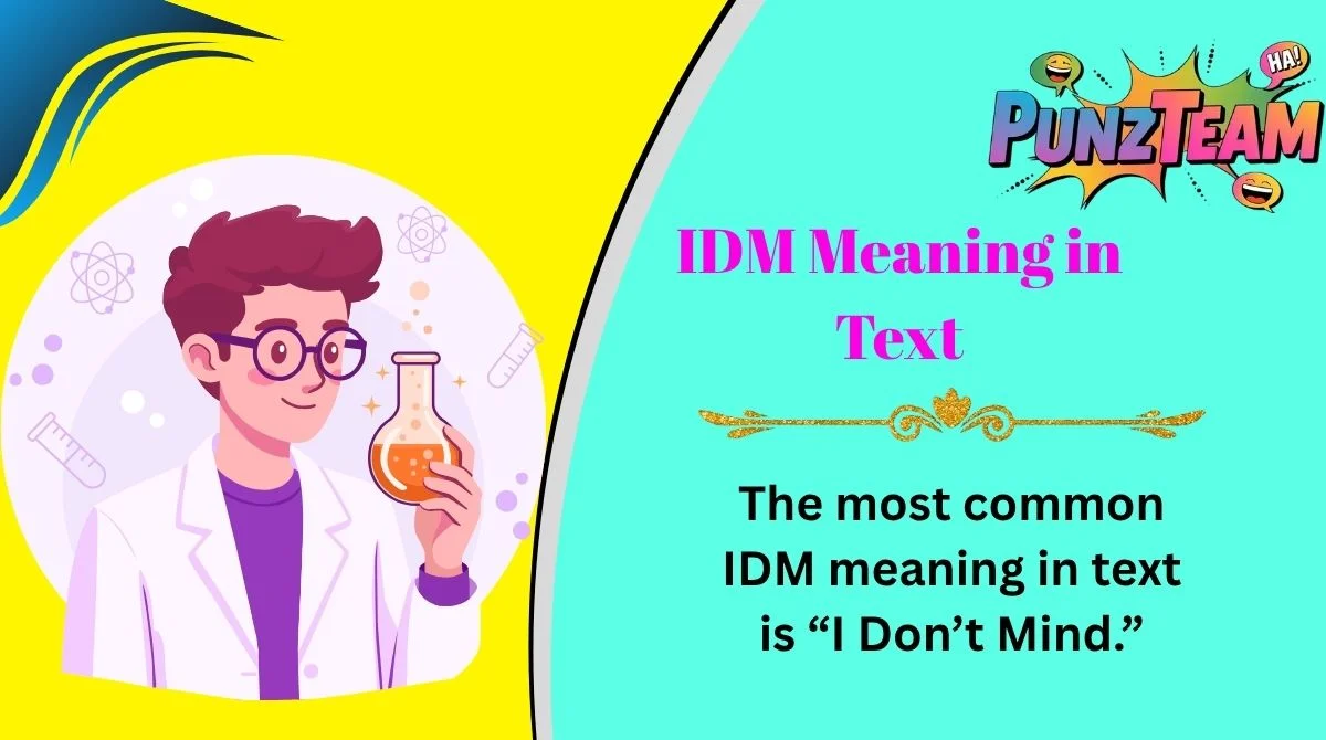 IDM Meaning in Text