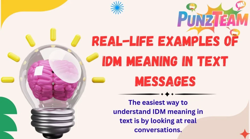 Real-Life Examples of IDM Meaning in Text Messages