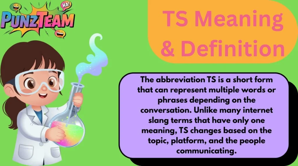 TS Meaning & Definition