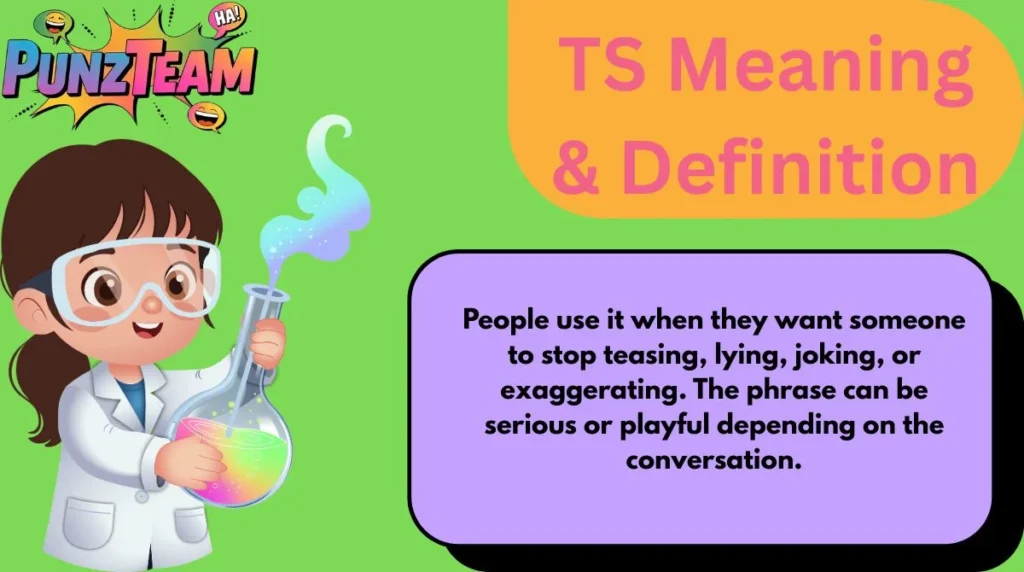 TS Meaning & Definition