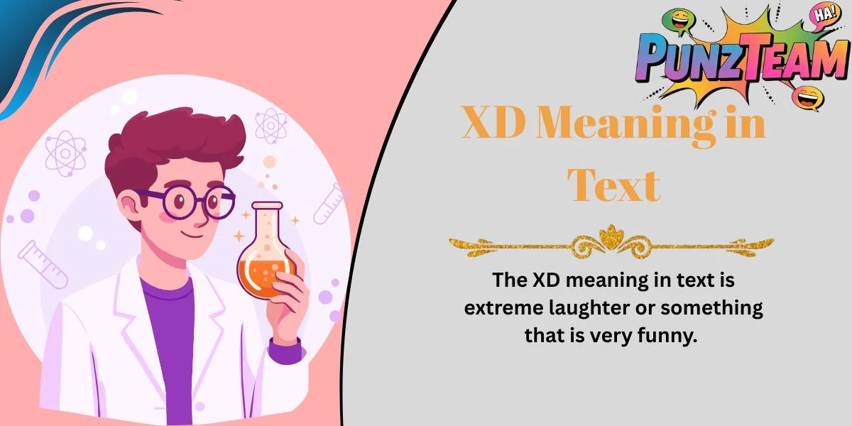 XD Meaning in Text