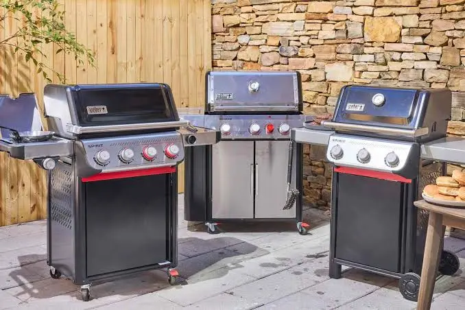 Best Gas Grills for Delicious Backyard Food